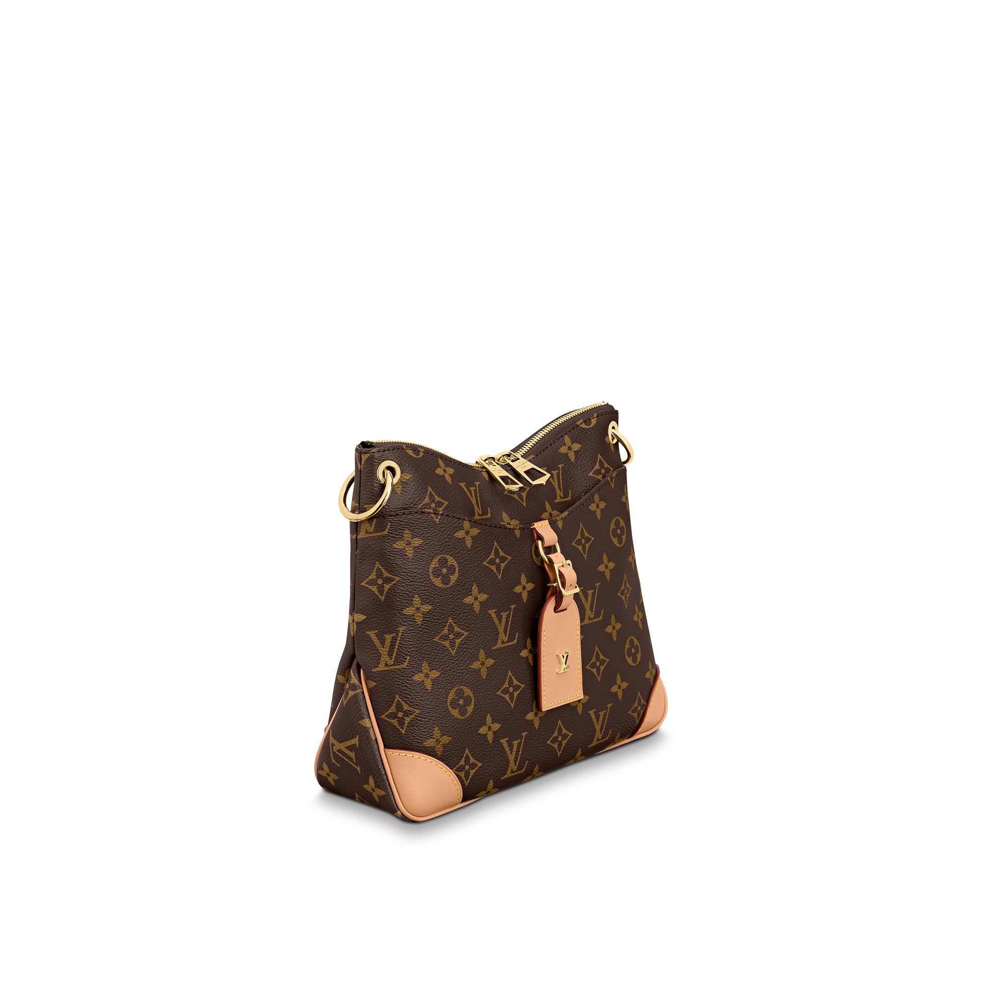 Bag Blue Book | Louis Vuitton: Odéon PM